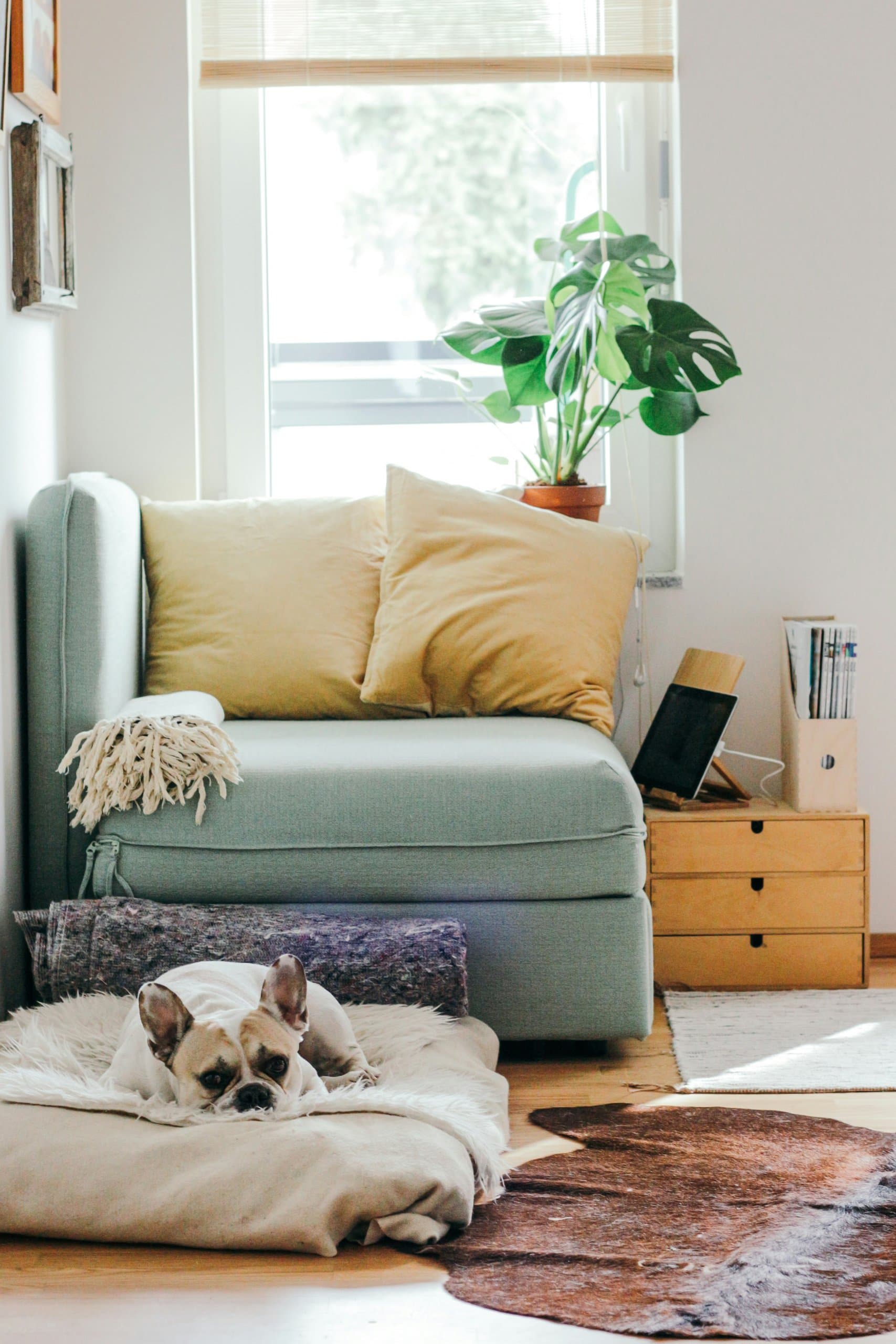 What a Pre-Listing Inspection Saves You