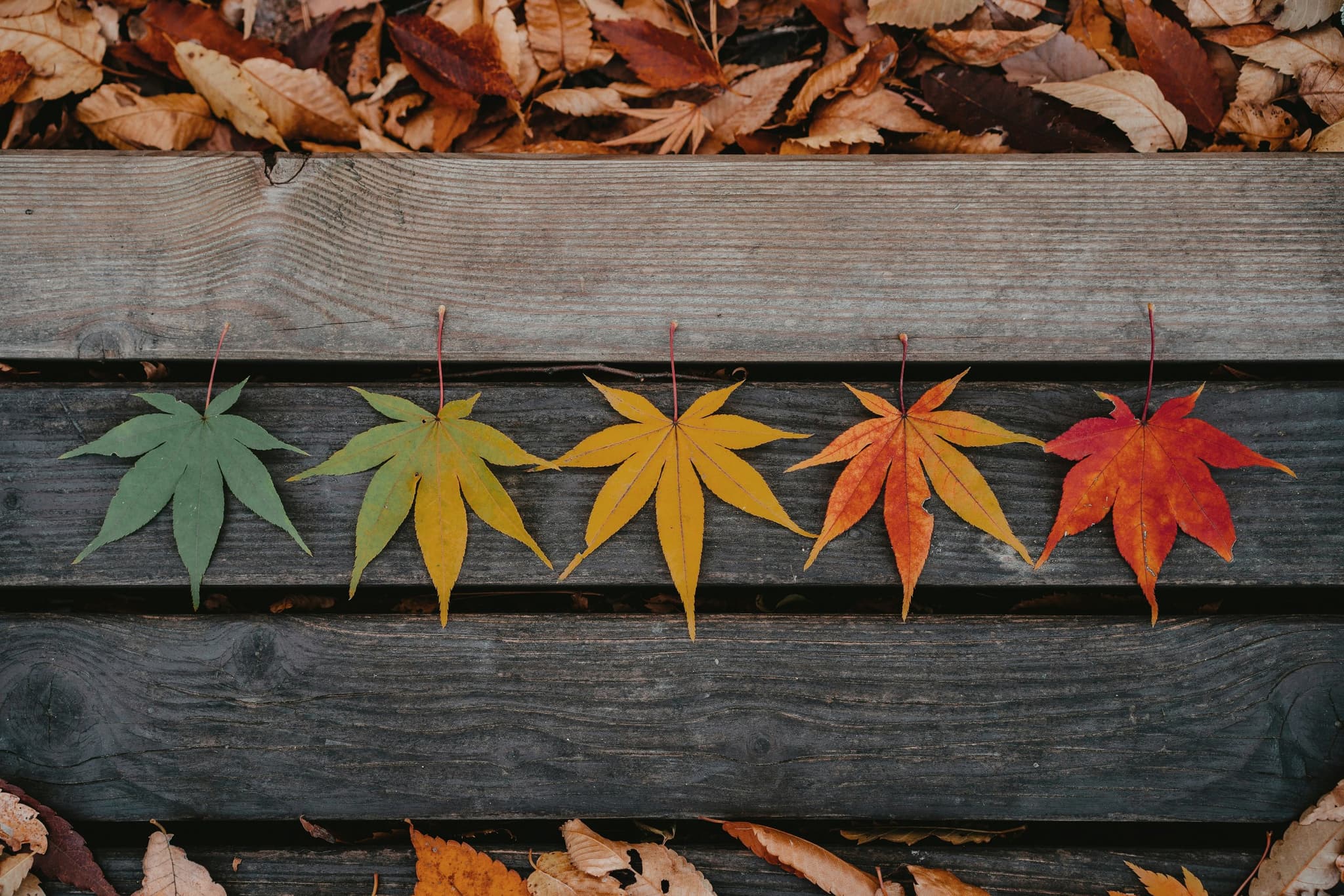 How the Eugene Housing Market Moves by Season